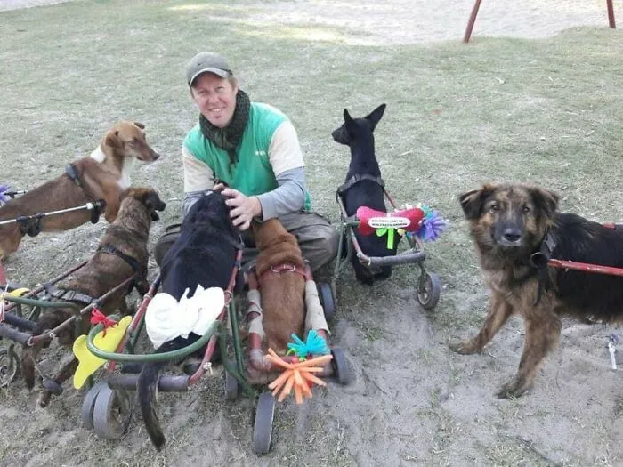 What It Takes To Care For More Than 600 Rescue Dogs: A Look Inside Refugio El Montecito