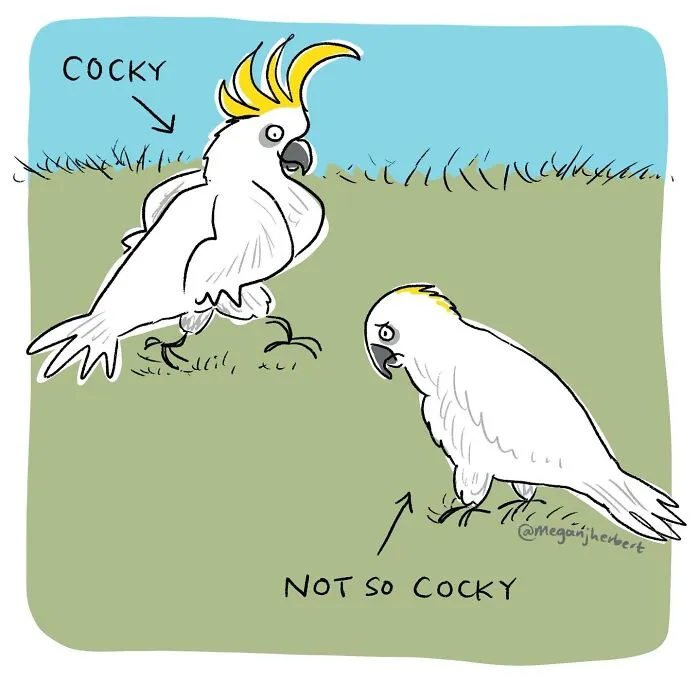 This Brilliant Cartoonist Nails Life’s Ironies: Here Are 35 Of Her Latest Comics