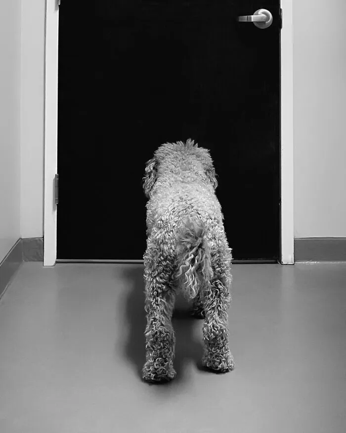 "Still Waiting" By Johnny Mitchell