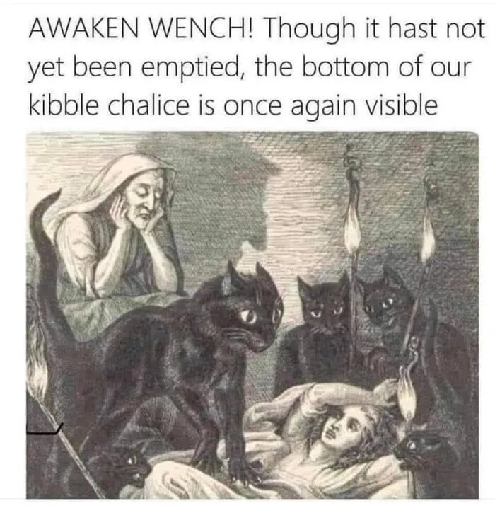 36 Funny Cat Posts From This Page That Perfectly Sum Up Living With Them