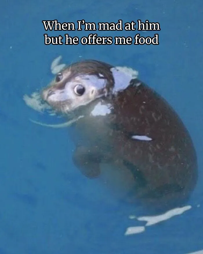 These Memes From “Animals Doing Things” Are Cute, Chaotic, And Very Relatable (40 New Pics)