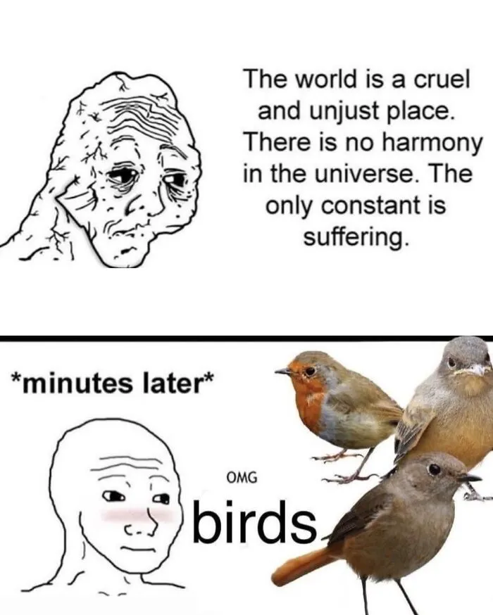 These Memes From “Animals Doing Things” Are Cute, Chaotic, And Very Relatable (40 New Pics)
