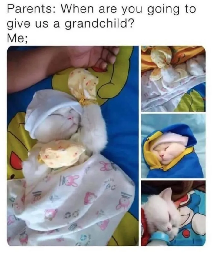 36 Funny Cat Posts From This Page That Perfectly Sum Up Living With Them