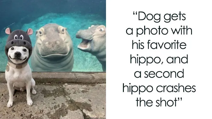 111 Wholesome Facts And Stories That Might Just Blow Your Mind
