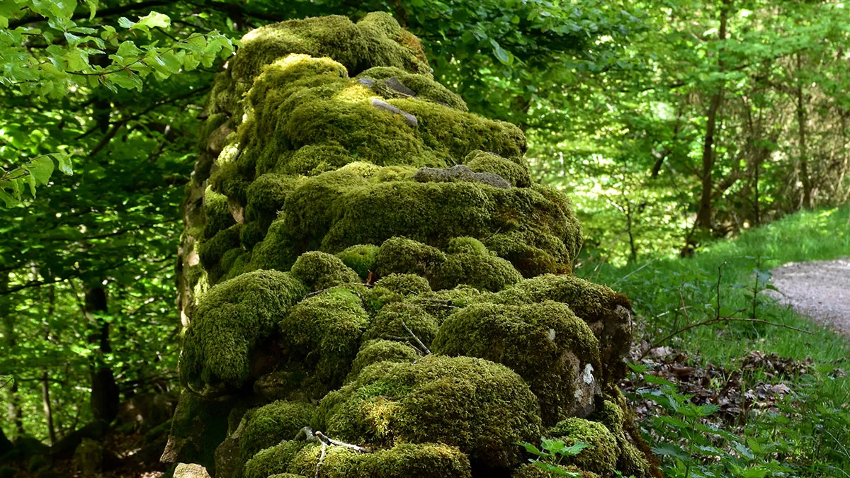 41 Surprising Facts About Our World That Are Truly Incredible