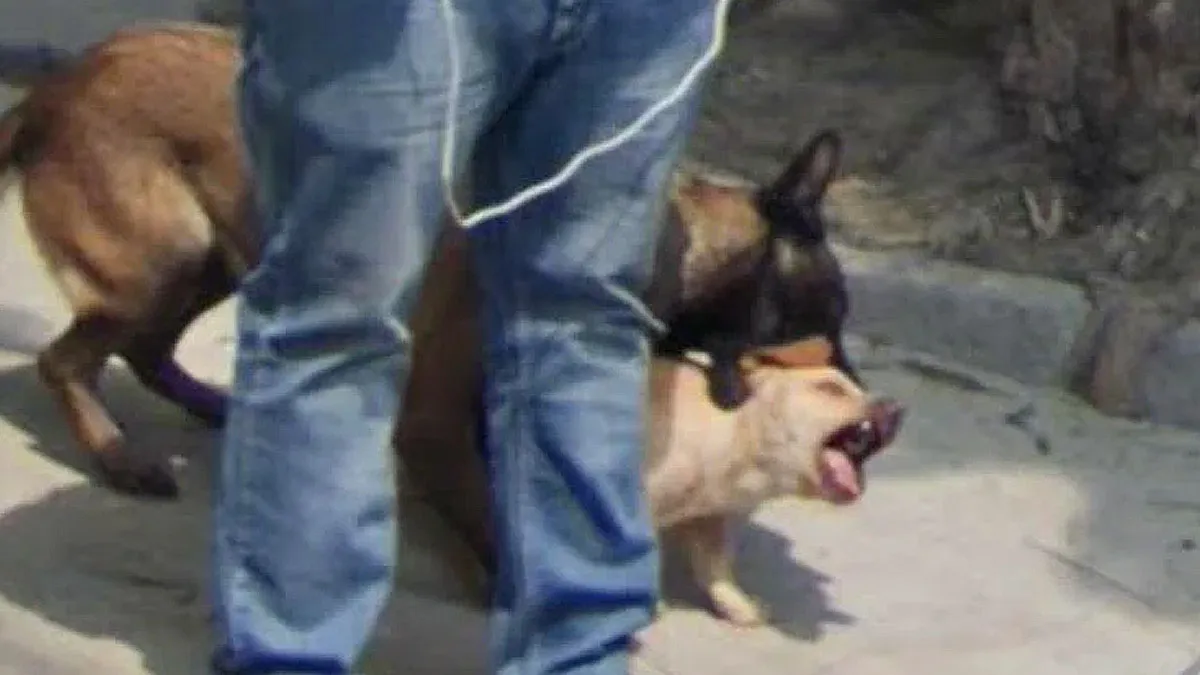 81 Times Google Street View Didn’t Disappoint And Provided Pure Entertainment