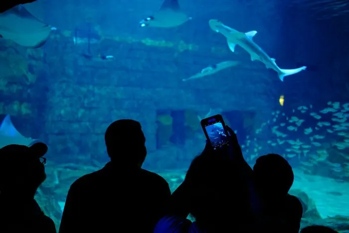 59 People With Unusual Careers Explain What They Do For A Living