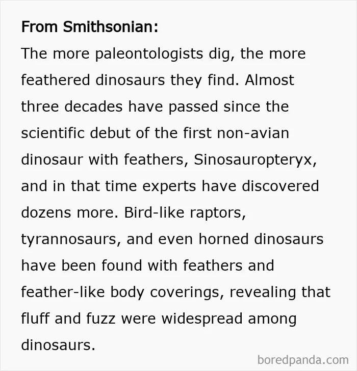 Dinosaurs Weren't All Scaly Reptiles. Some Actually Had Feathers Or Feather-Like Coverings