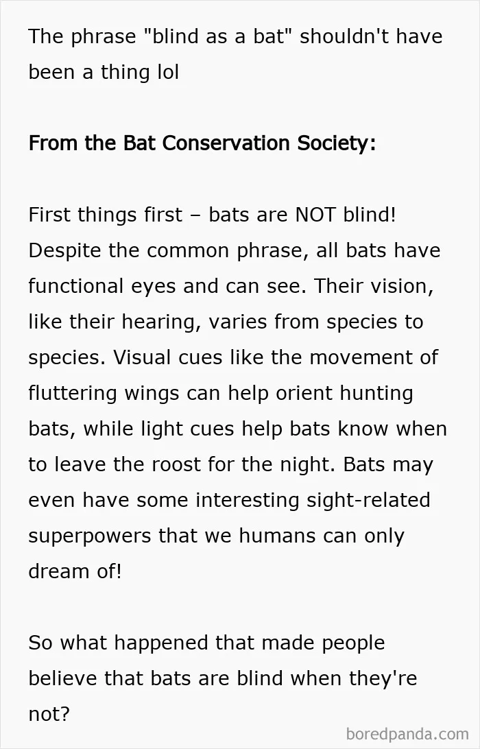 I Learned Wrong That Bats Are Blind. Bats Do Use Echolocation To Locate Prey, But It's Supplementary To Their Vision (Which Works Quite Well) Rather Than A Replacement
