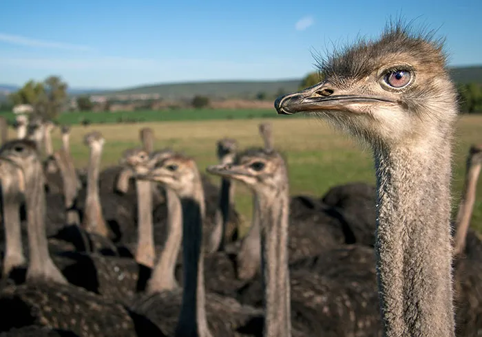 77 New Facts People Recently Learned And It Made Them Rethink Everything They Know (New Pics)