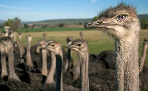 77 New Facts People Recently Learned And It Made Them Rethink Everything They Know (New Pics)