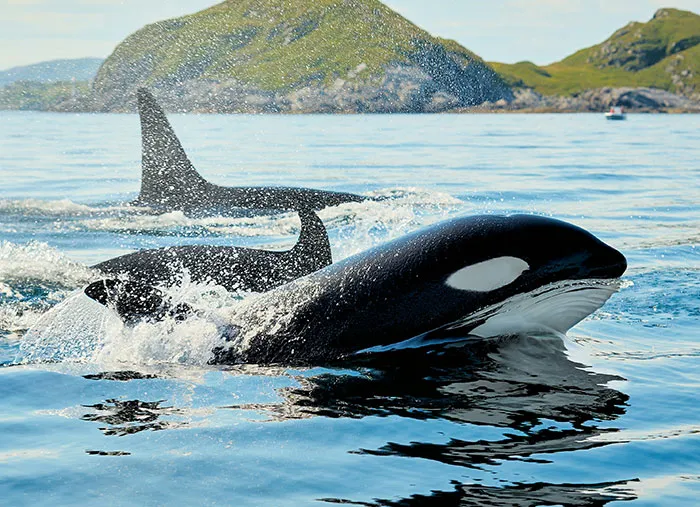 77 New Facts People Recently Learned And It Made Them Rethink Everything They Know (New Pics)