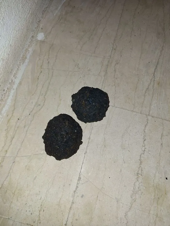 ¿Qué es esto? Unas cosas como bolas blandas cayeron repentinamente del cielo en medio de la noche.