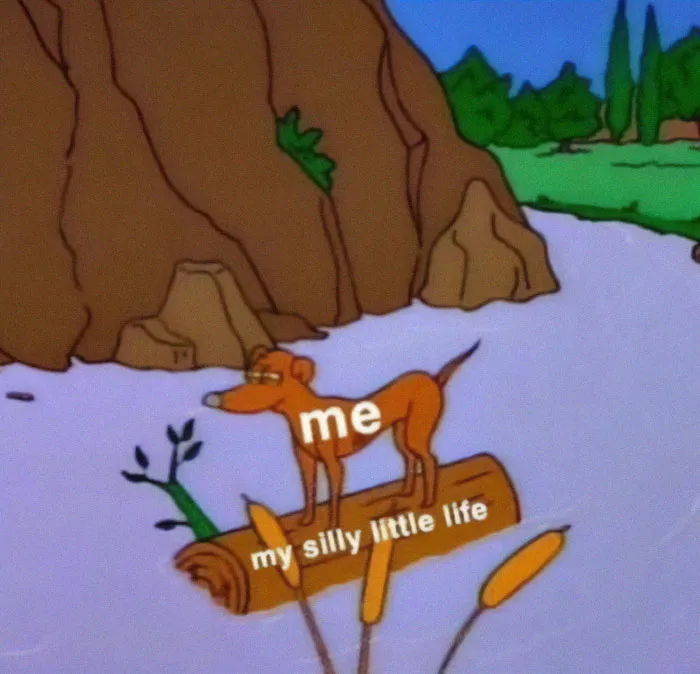 A relatable meme showing a dog labeled me struggling on a log labeled my silly little life, ideal for friends.