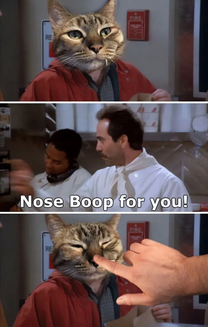 A humorous meme featuring a cat being nose booped, referencing the Soup Nazi from Seinfeld, a funny meme to send friends.