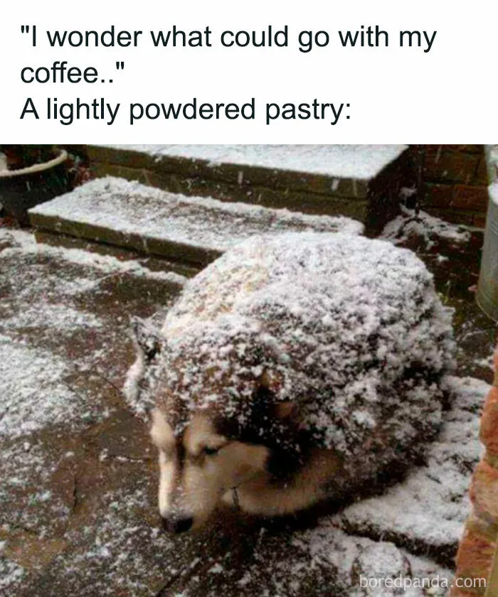 89 Random Images That Make Absolutely No Sense And Are Weird As Hell