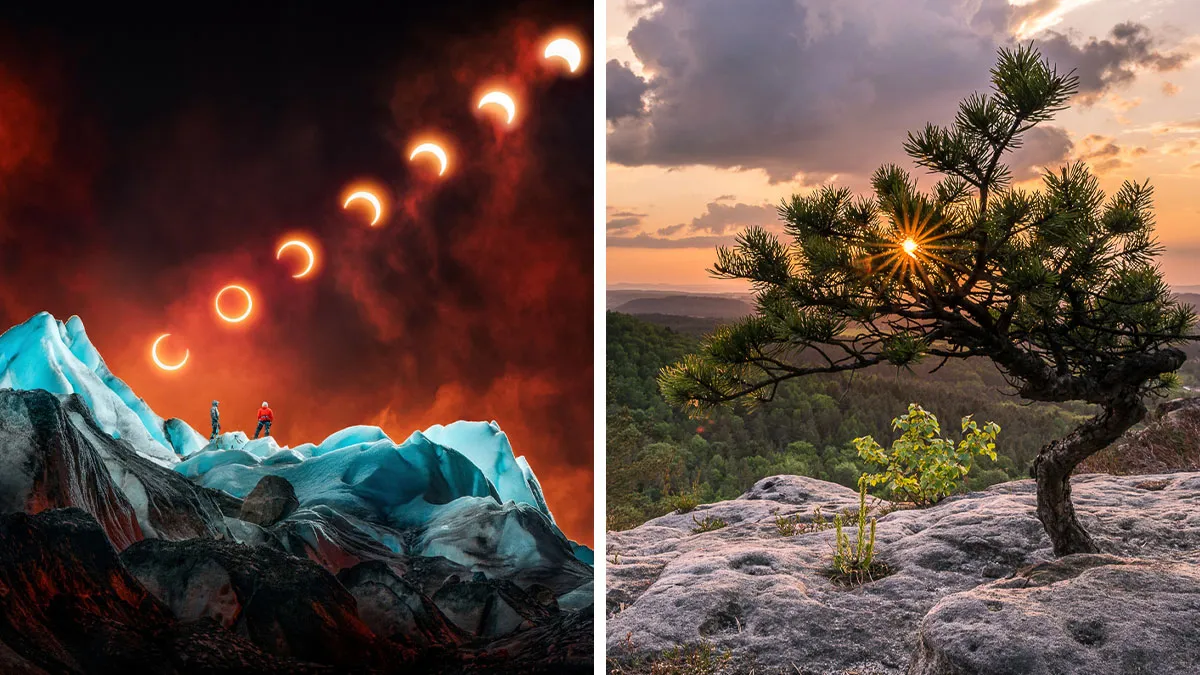 54 Nature Photos From The 2025 Chromatic Awards That Turn Color Into The Main Character