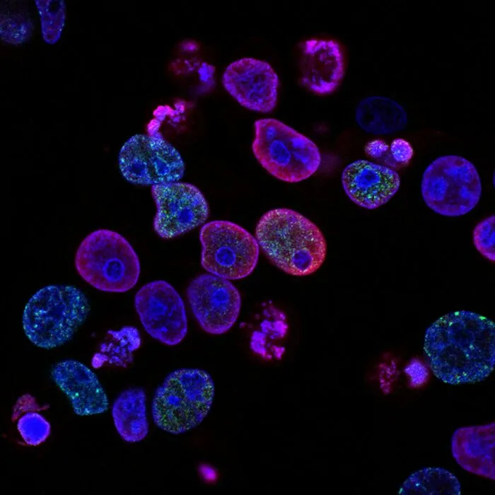 “Farts Of Bacteria”: 37 Human Body Facts That Make Existing Feel A Little More Uncomfortable 