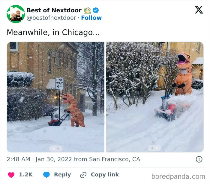 87 Unhinged And Entertaining Neighbor Antics Shared By This X Page (New Pics)