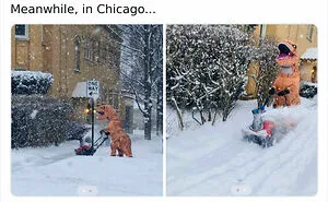 87 Unhinged And Entertaining Neighbor Antics Shared By This X Page (New Pics)