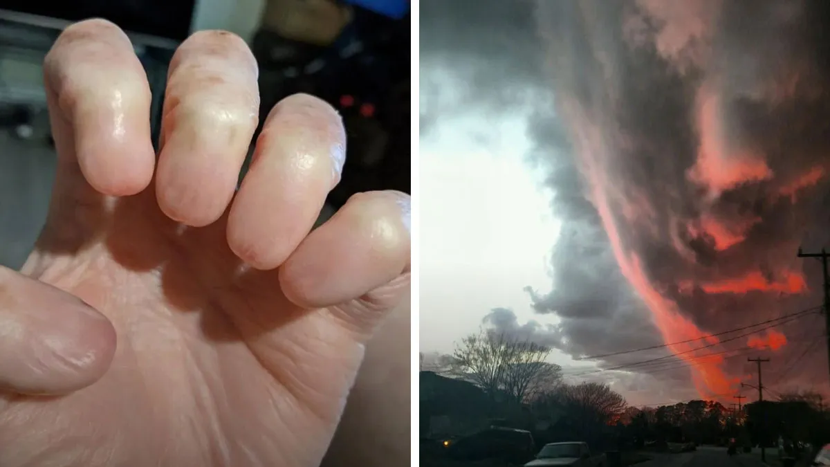 28 Imágenes «extrañamente aterradoras» que te darán escalofríos