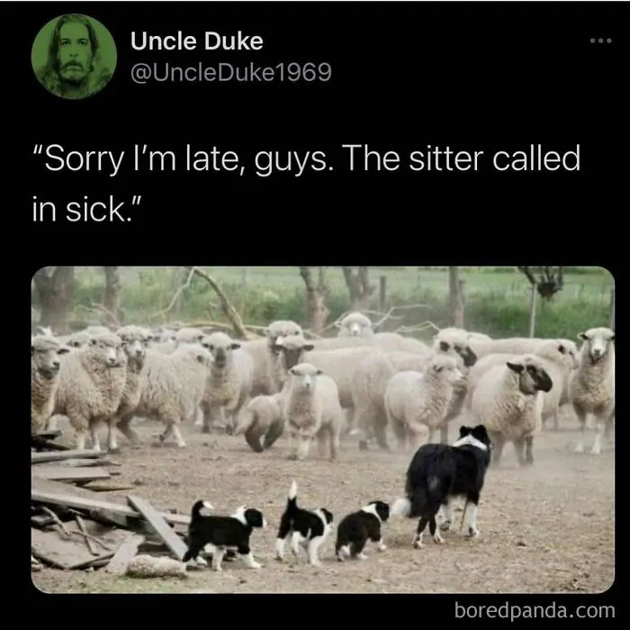 119 Memes About Raising Kids That Are Funny Because They’re Painfully True