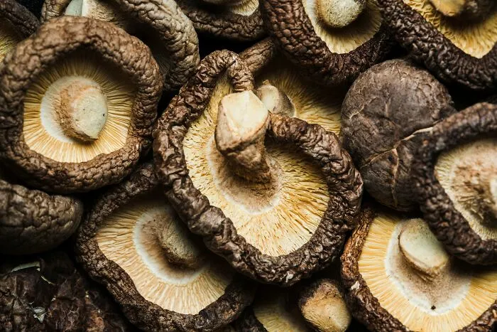 “Dangerous Because Of The Raw Flour”: 60 Food Facts That Sound Too Absurd To Be True