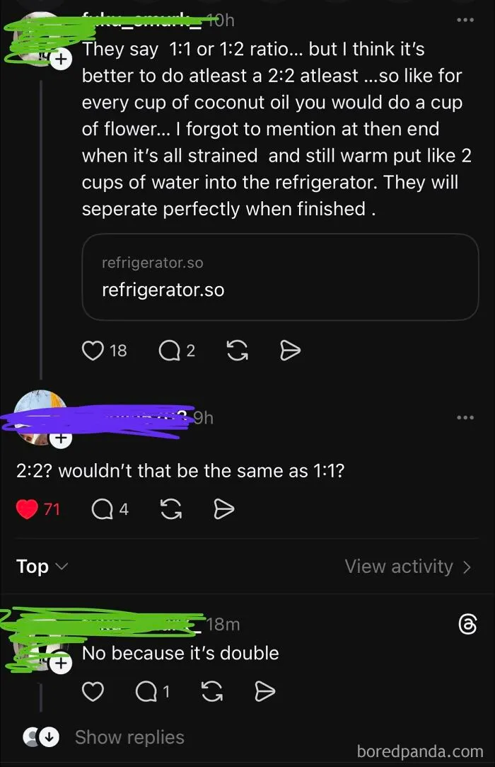 A Reddit conversation where a user explains a 2:2 ratio, then gets corrected that it's the same as 1:1, showcasing iconic self-burns.