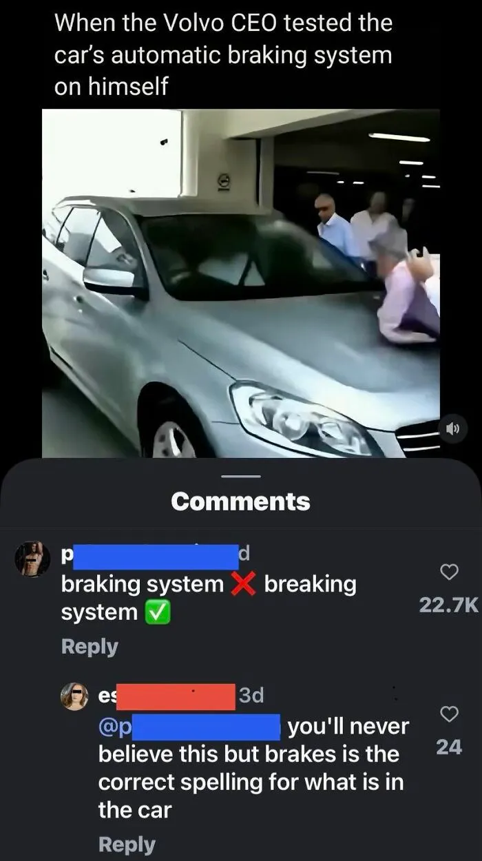 An iconic self-burn from a social media comment correcting the spelling of 'braking system'.