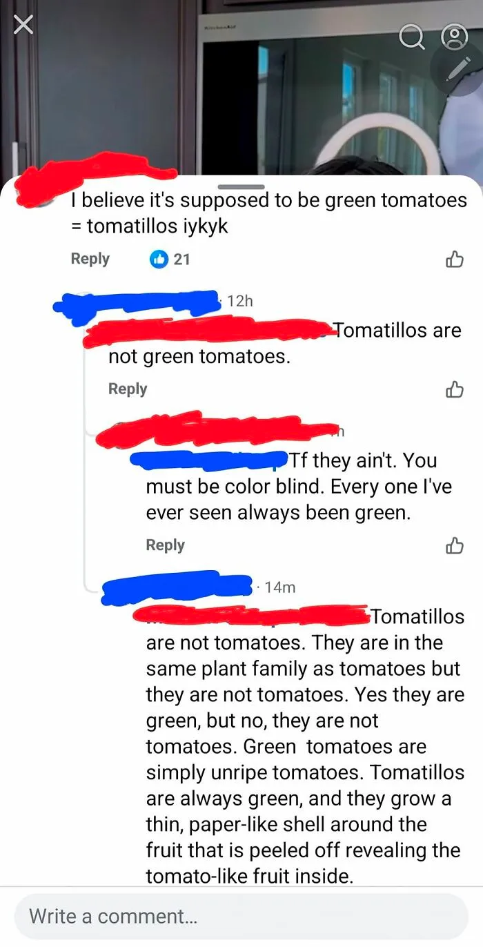A social media conversation with iconic self-burns debating whether tomatillos are green tomatoes, highlighting common misconceptions.