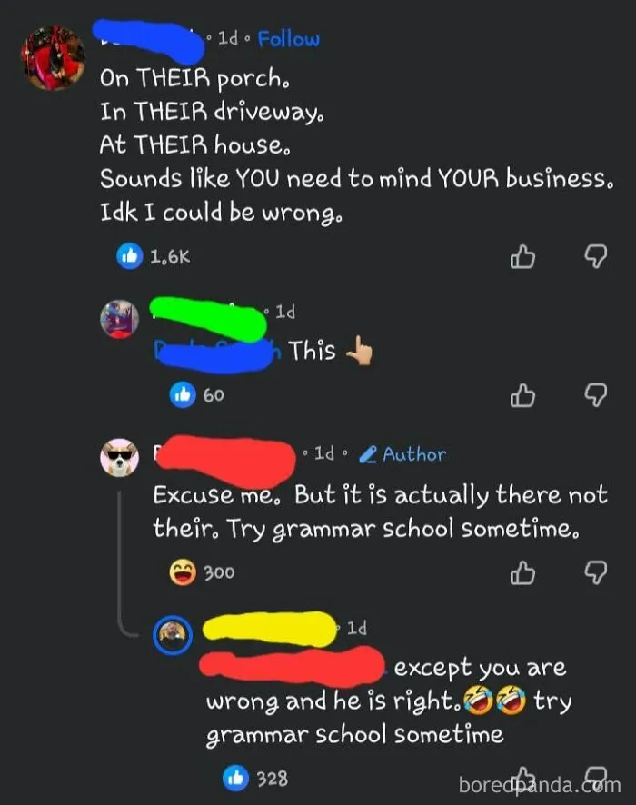 A social media screenshot showing iconic self-burns through a grammar correction argument about 'their' versus 'there'.