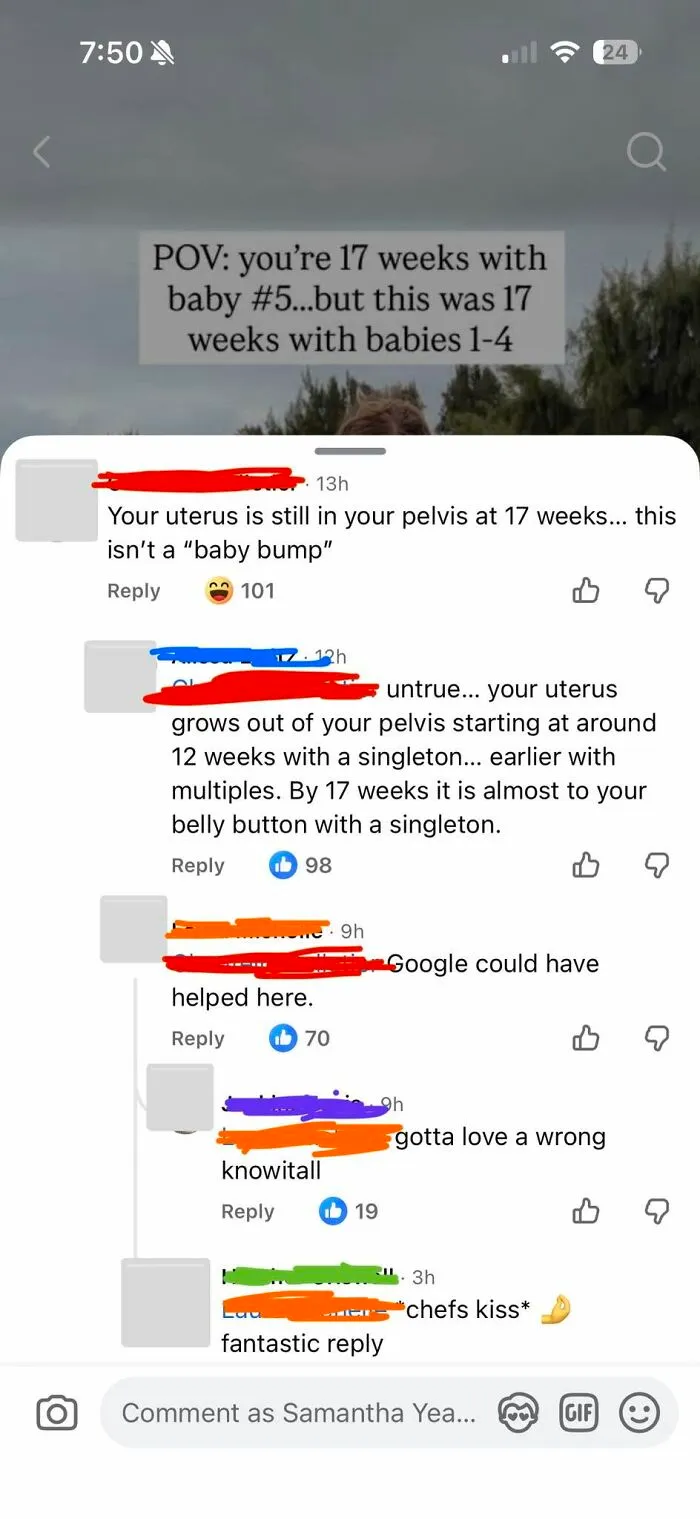 A social media screenshot with iconic self-burns about pregnancy facts. It illustrates situations where people try to fix others' stupidity.