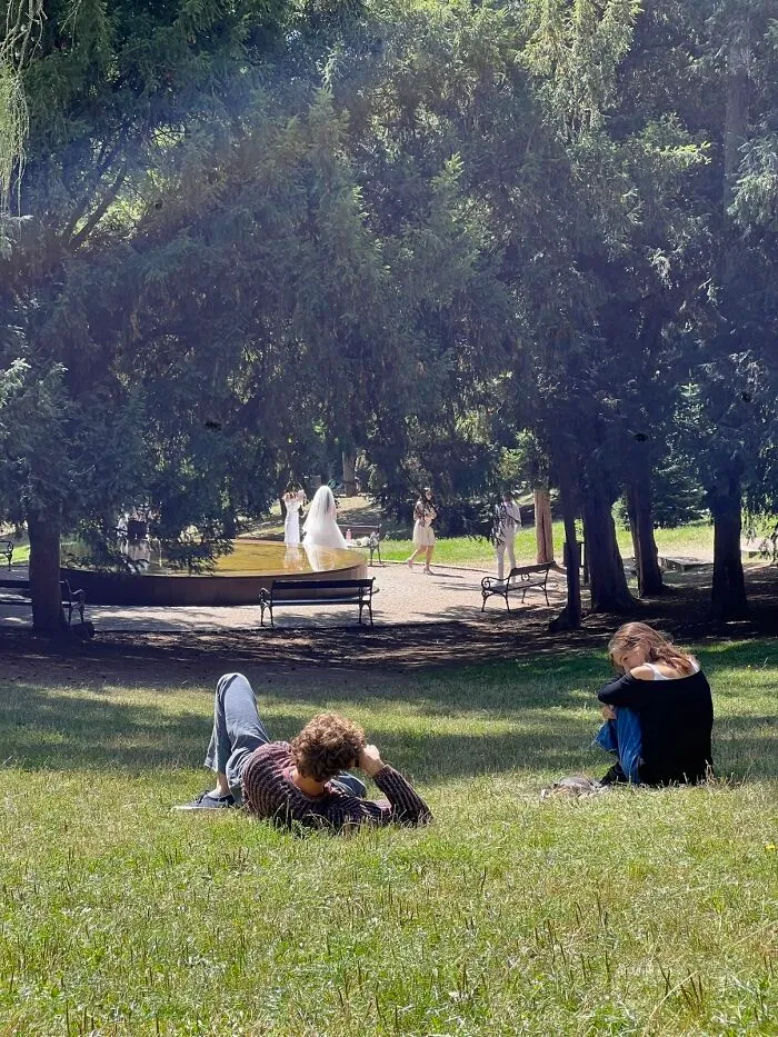 People enjoying a sunny day in the park, reflecting the peaceful atmosphere of the photo trend.