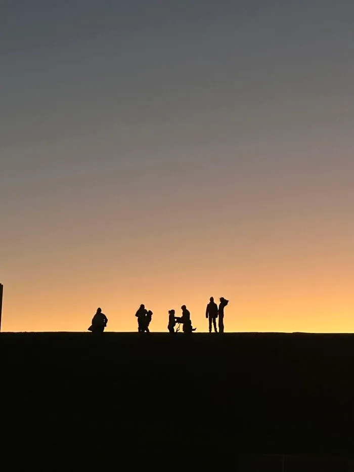 Silhouettes of people and a dog against a sunset, illustrating the 'Like A Painting' photo trend.