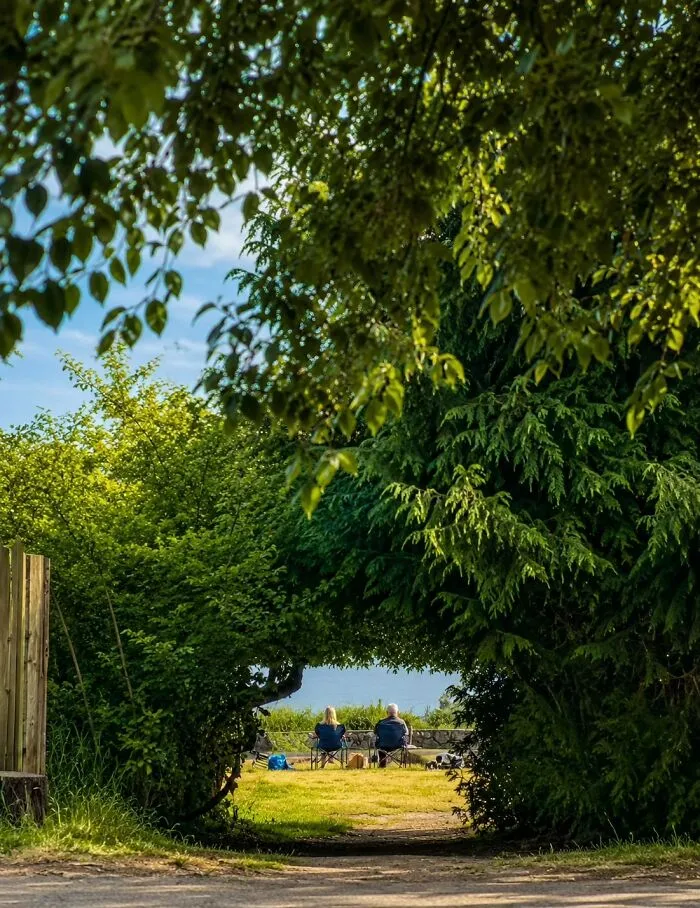 Two figures sit on chairs under an archway of trees, seen from afar, a wholesome photo trend like a painting.