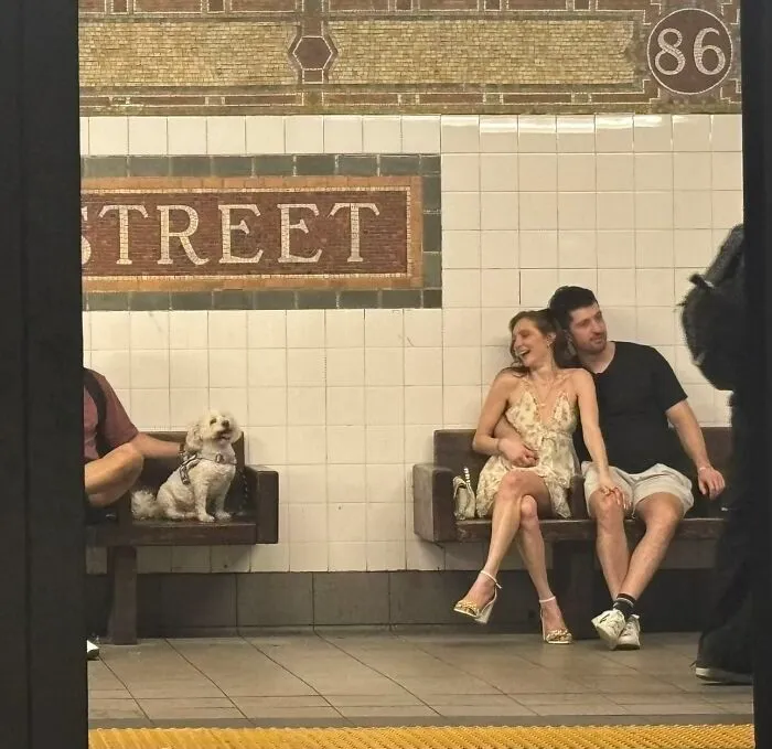 A couple sits embracing on a subway bench next to a small dog, captured in a wholesome photo trend like a painting.