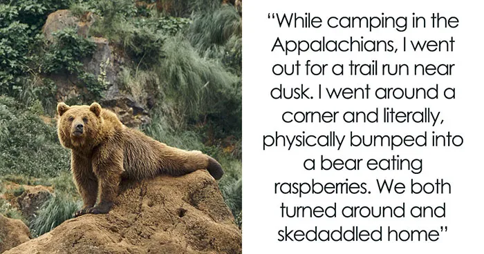 40 Stories So Unhinged That Folks Would Have Difficulty Believing They Actually Happened
