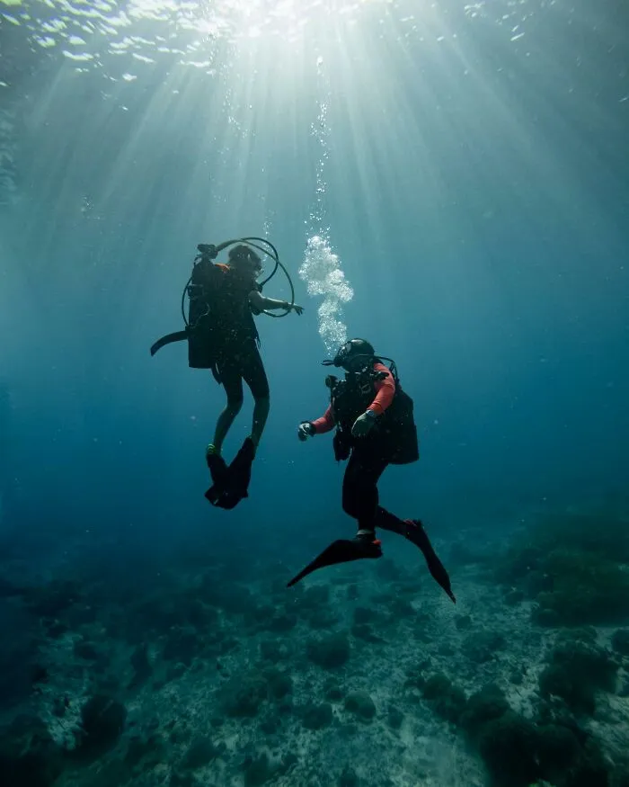 “Ended My Diving Hobby Forever”: 49 Terrifying Times Divers Were Caught Off-Guard Underwater
