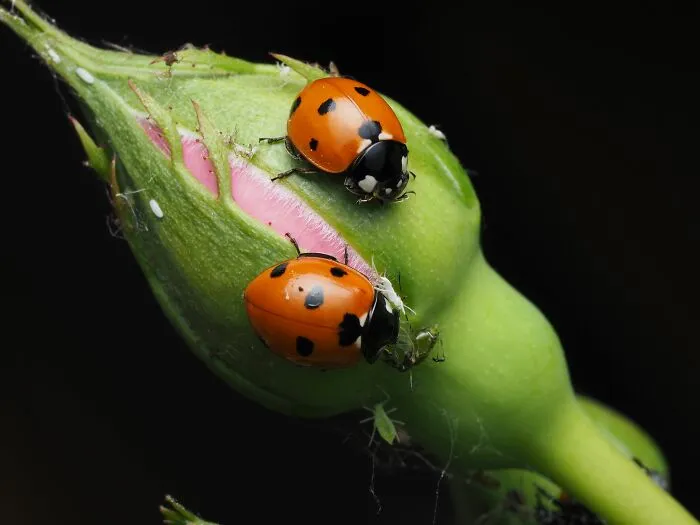 73 Random Facts That Might Make People Go: "Why On Earth Do You Know That?"