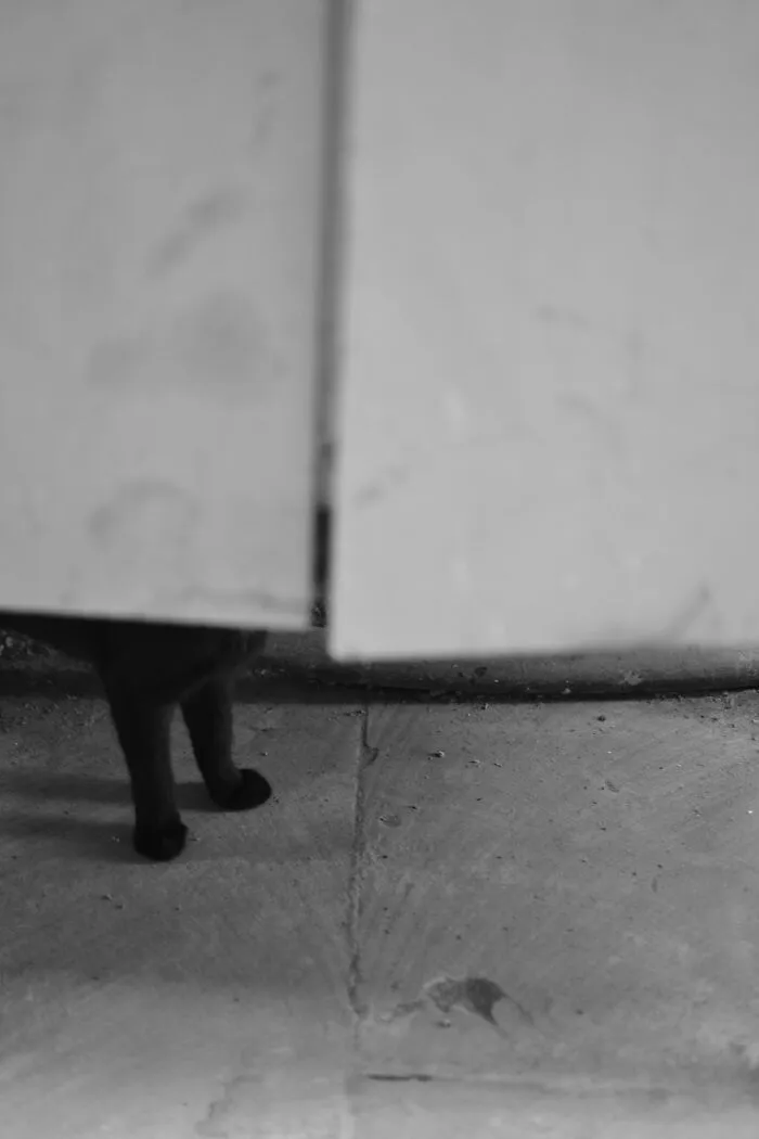 21 Fotos con detalles escalofriantes hallados a posteriori