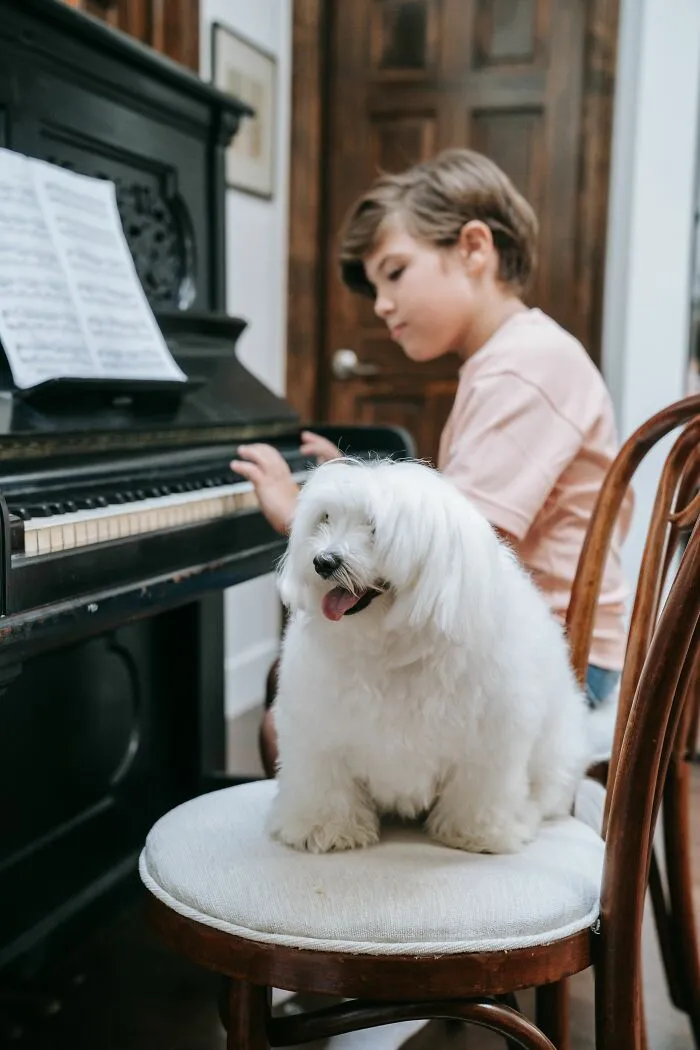 Playing Music