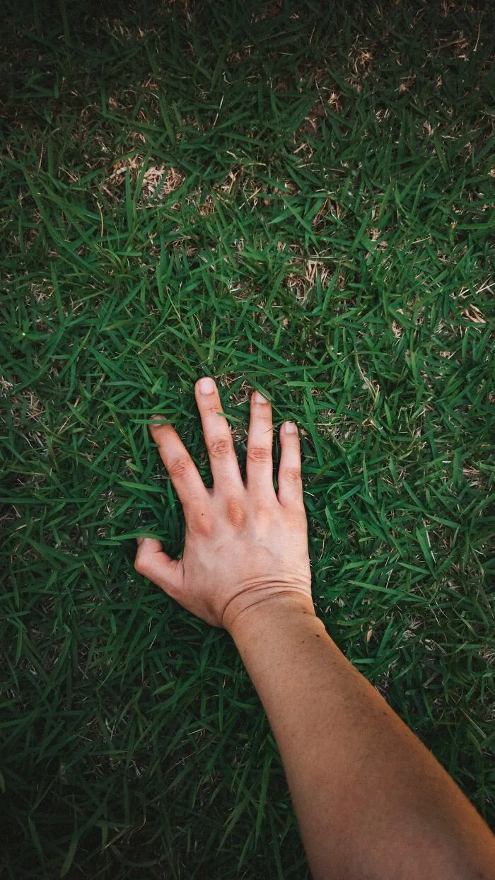 “There Was No Grass In Dinosaur Times”: 52 Facts That You Might Not Believe Are Actually True