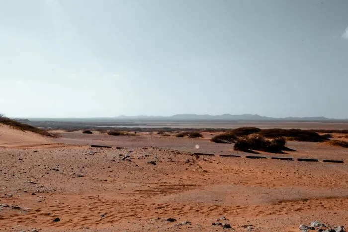 “There Was No Grass In Dinosaur Times”: 52 Facts That You Might Not Believe Are Actually True