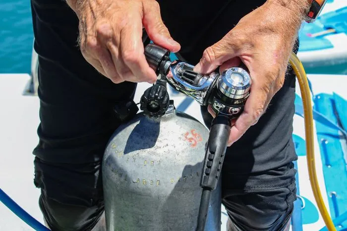 “Ended My Diving Hobby Forever”: 49 Terrifying Times Divers Were Caught Off-Guard Underwater