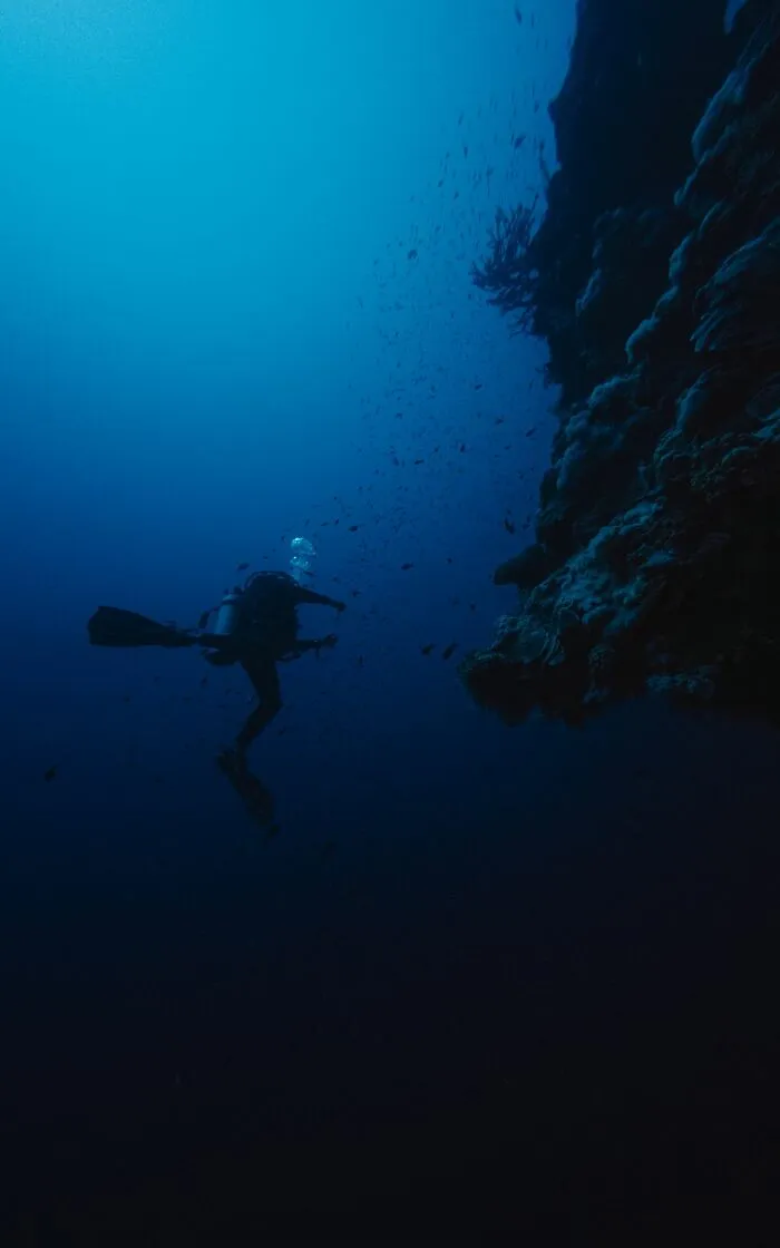 “Ended My Diving Hobby Forever”: 49 Terrifying Times Divers Were Caught Off-Guard Underwater