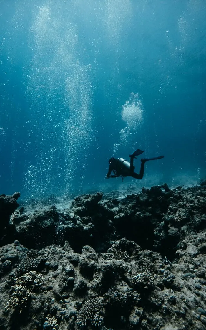 “Ended My Diving Hobby Forever”: 49 Terrifying Times Divers Were Caught Off-Guard Underwater