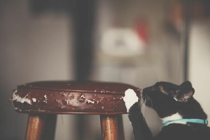 Scratching Furniture