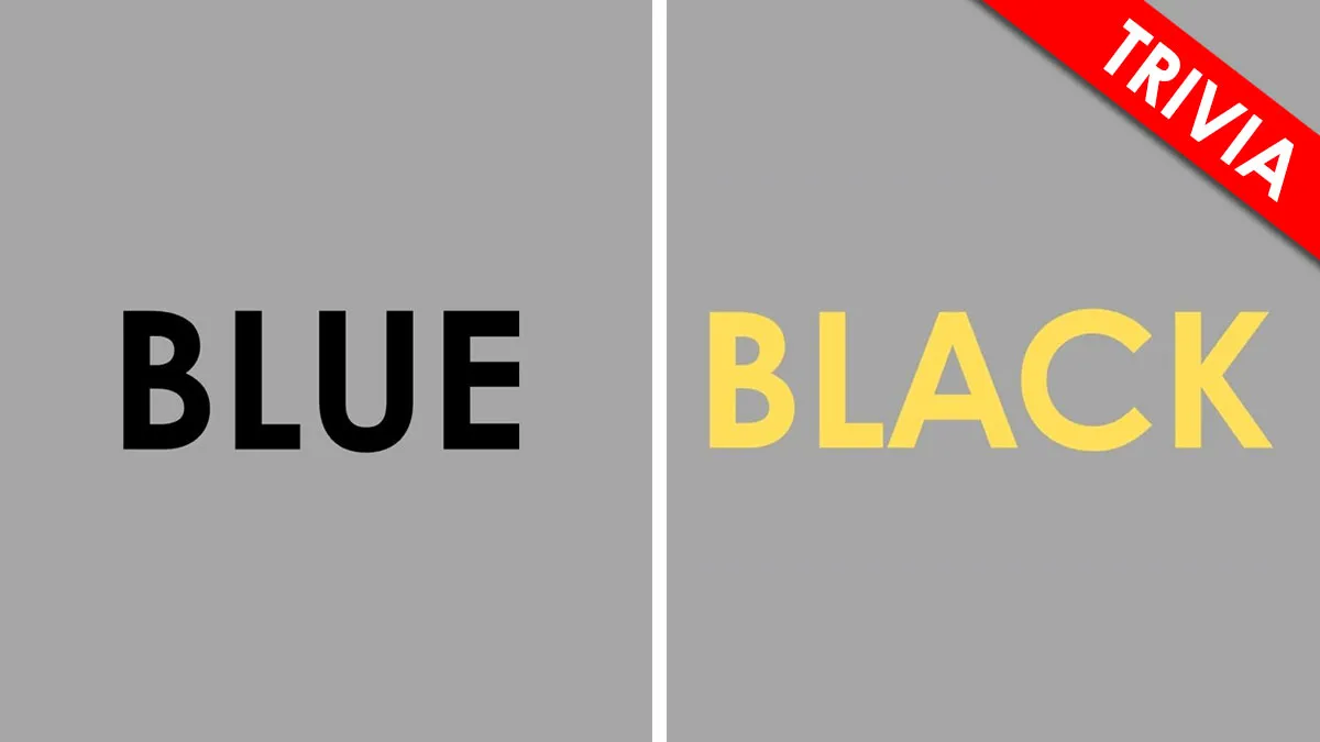 If You Can Score 18/18 In This Color Quiz, Your Visual IQ Is Above Average