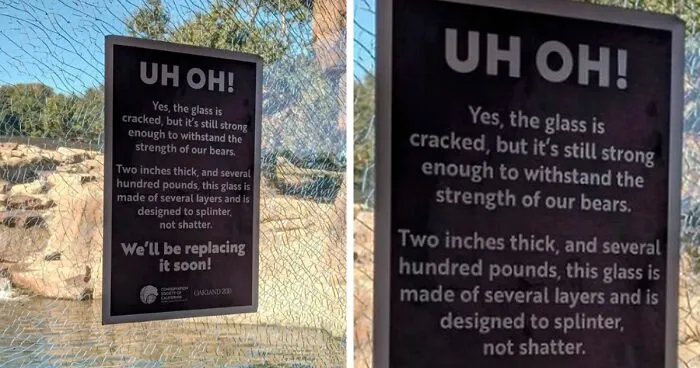 85 Randomly Funny Memes You Probably Haven’t Seen Before
