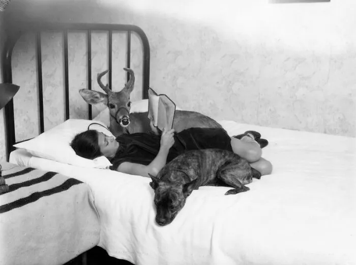 A vintage photo of a person reading in bed with a deer and a dog, depicting interesting photos intact after years.